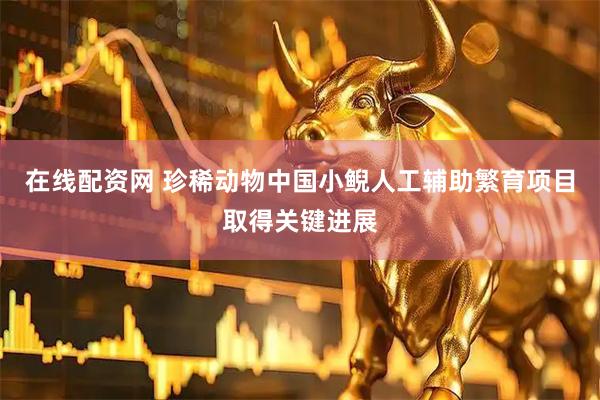 在线配资网 珍稀动物中国小鲵人工辅助繁育项目取得关键进展